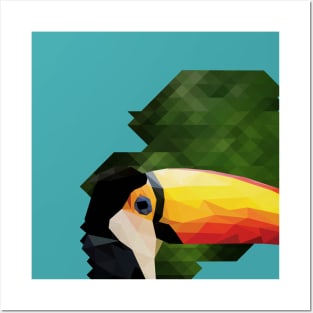 toucan Posters and Art